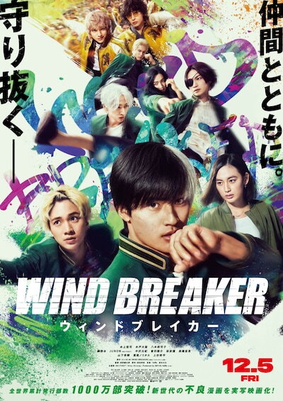 wind breaker film