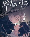 A Tree Without Roots Manhwa
