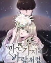 Like Wind on a Dry Branch Manhwa