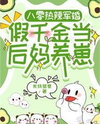 80s Military Marriage: The Fake Heiress Becomes a Stepmom Web Novel (CN)