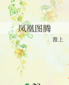 Emblem of the Phoenix Web Novel (CN)
