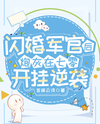 Flash Marriage with an Officer: A 70s Comeback Story Web Novel (CN)