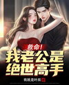 Help! My Husband is a Peerless Master! Web Novel (CN)