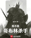 I Am Not Goblin Slayer Web Novel (CN)