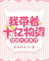 I Traveled Back to the 1960s With a Billion of Supplies Web Novel (CN)