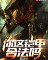 Is That Armor Even Legal? Web Novel (CN)