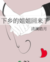 My Sister Returns from the Countryside Web Novel (CN)