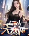 Rebirth: My Wife Is a Pop Diva Web Novel (CN)