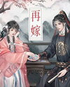 Remarry Web Novel (CN)