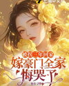 Sleepless Nights Web Novel (CN)