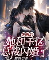 The Billionaire’s Blind Bride Web Novel (CN)