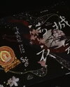 The Decent Web Novel (CN)