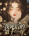 The Eleventh Year After My Death Web Novel (CN)