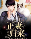 The Return of the Wife Web Novel (CN)