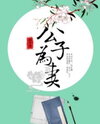 The Young Master Becomes a Wife Web Novel (CN)