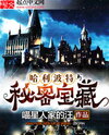 Harry Potter and the Secret Treasures Web Novel (CN)