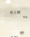 Imperial Side Web Novel (CN)