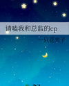 Please Ship Me and the Director Web Novel (CN)