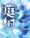 Pokémon Court Web Novel (CN)