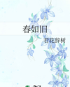 Spring Remains the Same Web Novel (CN)