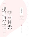 Stealing the Male Lead’s White Moonlight (GL) Web Novel (CN)