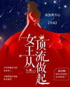The Queen’s Rise to the Top Web Novel (CN)