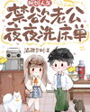 Remarried Life: The Abstinent Husband Washes the Sheets Every Night Web Novel (CN)