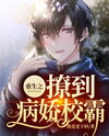 Rebirth: Flirting with the School Bully Web Novel (CN)