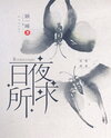 What I Seek Day and Night Web Novel (CN)