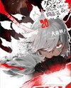 Dungeon ni Deai o Motomeru no wa Machigatte Iru Darou ka (Novel) Novel