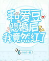After Secretly Marrying My Idol, I Somehow Got Famous Web Novel (CN)