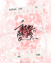 After the Handsome Guy Downstairs Knocked on My Door with a Cold Face Web Novel (CN)