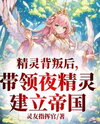 Betrayed By The Elf Princess On Our Wedding Night Web Novel (CN)
