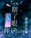 Blind, Falling In Love with You Web Novel (CN)