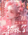 Caught While Escaping Debt in the ’70s: The Rough Man’s Relentless Love for the Delicate Beauty Web Novel (CN)