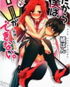 Dakara Boku wa, H ga Dekinai. Light Novel (JP)