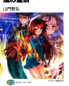 Kaze no Stigma (Novel) Novel