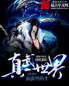 Zhenwu Shijie (Novel) Novel