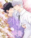 Cherry Blossoms After Winter Manhwa