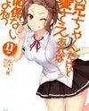 Onii-chan Dakedo Ai Sae Areba Kankeinai yo ne (Novel) Novel