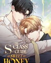 The S-Class Guide as Sweet as Honey Manhwa