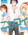 Nisekoi Manga