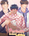 Perfectly Broken Love Manhwa