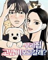 Want to See My Cat? Manhwa