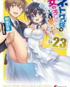 Netoge no Yome wa Onnanoko ja Nai to Omotta? (Novel) Novel