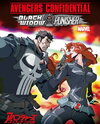 Avengers Confidential: Black Widow & Punisher