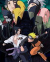 Naruto Shippuuden