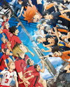 Gekijouban Haikyuu!! Final