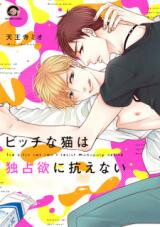Bitch na Neko wa Dokusenyoku ni Aragaenai Manga
