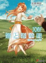 Ookami to Koushinryou (Novel) Novel